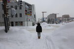 20012024_Canon EOS 5Ds_26th round to Hokkaido Tour_A Snowy Susukino Morning00069