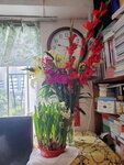 13022024_Lunar New Year Home Flower00001