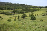 20072024_27th round to Hokkaido_Shiretoko National Park00010