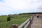 20072024_27th round to Hokkaido_Shiretoko National Park_Shiretoko Goko Observation Deck Elevated Wooden Path00033