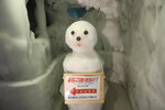 21072024_27th round to Hokkaido_Asahikawa_Ice Pavilion00027