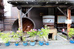 21072024_27th round to Hokkaido_Asahikawa Otokoyama Sake Brewery00008