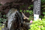 21072024_27th round to Hokkaido_Asahikawa Otokoyama Sake Brewery00012