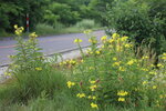21072024_27th round to Hokkaido_Hotel Abashikoso Morning00028