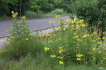 21072024_27th round to Hokkaido_Hotel Abashikoso Morning00029