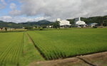 22072024_27th round to Hokkaido_Way to Biei00003
