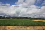 22072024_27th round to Hokkaido_Way to Biei00014