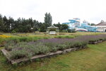 23072024_27th round to Hokkaido_Gateaux Kingdom Hotel Moning00032