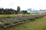 23072024_27th round to Hokkaido_Gateaux Kingdom Hotel Moning00033