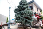 23072024_27th round to Hokkaido_Otaru Sakaimachi00063