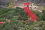 21102024_Nikon D5300_3rd round to Kyushu_Motonosumi Inari Jinja00004