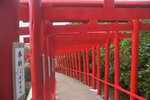 21102024_Nikon D5300_3rd round to Kyushu_Motonosumi Inari Jinja00011