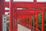 21102024_Nikon D5300_3rd round to Kyushu_Motonosumi Inari Jinja00012