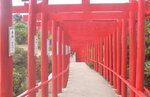 21102024_Nikon D5300_3rd round to Kyushu_Motonosumi Inari Jinja00014