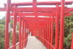21102024_Nikon D5300_3rd round to Kyushu_Motonosumi Inari Jinja00016