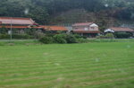 22102024_Nikon D5300_3rd round to Kyushu_Way to Akiyoshidai00002