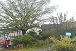 22102024_Nikon D5300_3rd round to Kyushu__Yamaguchikan_Akiyoshidai00001