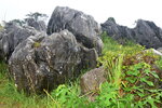22102024_Nikon D5300_3rd round to Kyushu__Yamaguchikan_Akiyoshidai00022