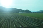 25102024_Nikon D5300_3rd round to Kyushu_Back to Fukuoka00004