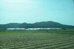 25102024_Nikon D5300_3rd round to Kyushu_Back to Fukuoka00007