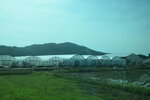 25102024_Nikon D5300_3rd round to Kyushu_Back to Fukuoka00008