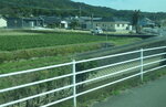 25102024_Nikon D5300_3rd round to Kyushu_Back to Fukuoka00009