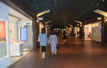 25102024_Nikon D5300_3rd round to Kyushu_Fukuokashi_Tenjin Chikagai00124