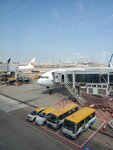 20102024_Samsung Smartphone Galaxy S10 Plus_3rd round to Kyushu_Hong Kong Internationsl Airport00003