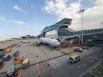 20102024_Samsung Smartphone Galaxy S10 Plus_3rd round to Kyushu_Hong Kong Internationsl Airport00011
