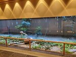 21102024_Samsung Smartphone Galaxy S10 Plus_3rd round to Kyushu_Otanosanso Hotel00054