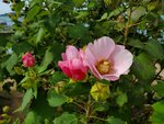 21102024_Samsung Smartphone Galaxy S10 Plus_3rd round to Kyushu_Tsunoshima Obashi00016