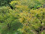 22102024_Samsung Smartphone Galaxy S10 Plus_3rd round to Kyushu_Kokurajo00114