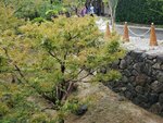 22102024_Samsung Smartphone Galaxy S10 Plus_3rd round to Kyushu_Kokurajo00115