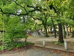22102024_Samsung Smartphone Galaxy S10 Plus_3rd round to Kyushu_Kokurajo00125