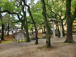 22102024_Samsung Smartphone Galaxy S10 Plus_3rd round to Kyushu_Kokurajo00127