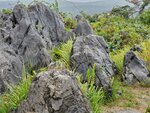 22102024_Samsung Smartphone Galaxy S10 Plus_3rd round to Kyushu_Yamaguchikan_Akiyoshidai00015