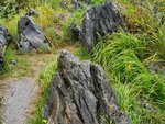 22102024_Samsung Smartphone Galaxy S10 Plus_3rd round to Kyushu_Yamaguchikan_Akiyoshidai00016