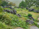 22102024_Samsung Smartphone Galaxy S10 Plus_3rd round to Kyushu_Yamaguchikan_Akiyoshidai00017