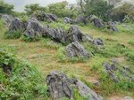 22102024_Samsung Smartphone Galaxy S10 Plus_3rd round to Kyushu_Yamaguchikan_Akiyoshidai00018