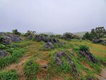 22102024_Samsung Smartphone Galaxy S10 Plus_3rd round to Kyushu_Yamaguchikan_Akiyoshidai00026