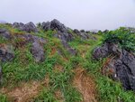 22102024_Samsung Smartphone Galaxy S10 Plus_3rd round to Kyushu_Yamaguchikan_Akiyoshidai00028