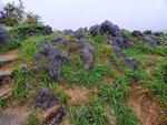 22102024_Samsung Smartphone Galaxy S10 Plus_3rd round to Kyushu_Yamaguchikan_Akiyoshidai00029