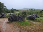 22102024_Samsung Smartphone Galaxy S10 Plus_3rd round to Kyushu_Yamaguchikan_Akiyoshidai00035