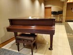 22102024_Samsung Smartphone Galaxy S10 Plus_3rd round to Kyushu_Yamaguchikan Morning_Otanisanso Hotel00060