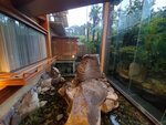 22102024_Samsung Smartphone Galaxy S10 Plus_3rd round to Kyushu_Yamaguchikan Morning_Otanisanso Hotel00109