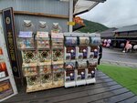 23102024_Samsung Smartphone Galaxy S10 Plus_3rd round to Kyushu_Yufuin Shotengai00043