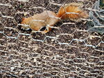 23102024_Samsung Smartphone Galaxy S10 Plus_3rd round to Kyushu_Yufuin Shotengai00062