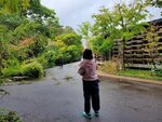 23102024_Samsung Smartphone Galaxy S10 Plus_3rd round to Kyushu_Yufushi Kinrinko00011