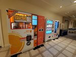 25102024_Samsung Smartphone Galaxy S10 Plus_3rd round to Kyushu_Nagasakiken_Sesehoshi_JAL Nikko Hotel Huis Ten Bosch00001