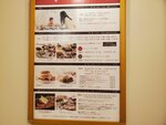 25102024_Samsung Smartphone Galaxy S10 Plus_3rd round to Kyushu_Nagasakiken_Sesehoshi_JAL Nikko Hotel Huis Ten Bosch00023